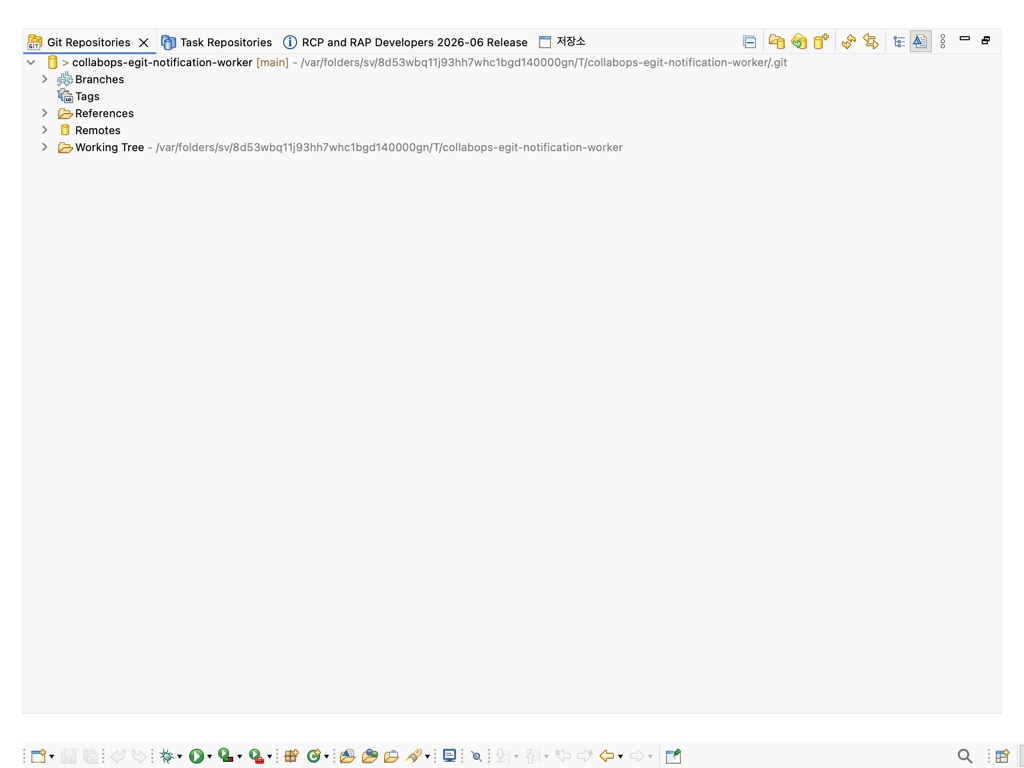 Cloned repository in the Git Repositories view